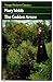 The golden arrow (Virago modern classics)