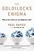 The Goldilocks Enigma: Why Is the Universe Just Right for Life? [Paperback]