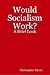 Would Socialism Work?