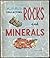 My Hobby Is Collecting Rocks and Minerals