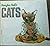 Douglas Hall's Cats