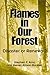 Flames in Our Forest: Disaster Or Renewal? 1st (first) Edition by Arno, Stephen F., Allison-Bunnell, Stephen published by Island Press (2002)