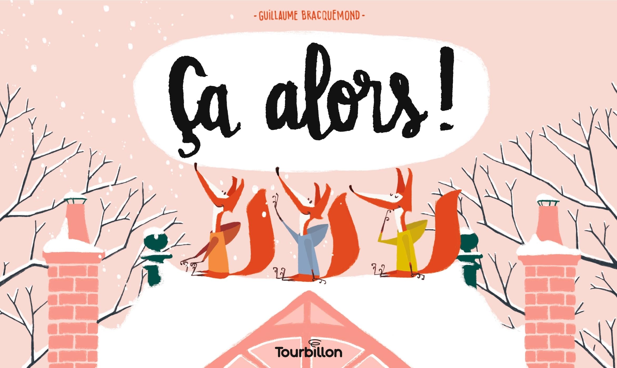 Ça alors ! (Hardcover)
