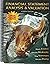 Financial Statement Analysis & Valuation, Fourth Edition, Special Custom Edition