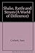 Shake, Rattle and Strum (A World of Difference) by Sara Corbett (1995-09-03)