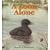 A Loon Alone by Love, Pamela [Down East Books, 2002] Hardcover [Hardcover]