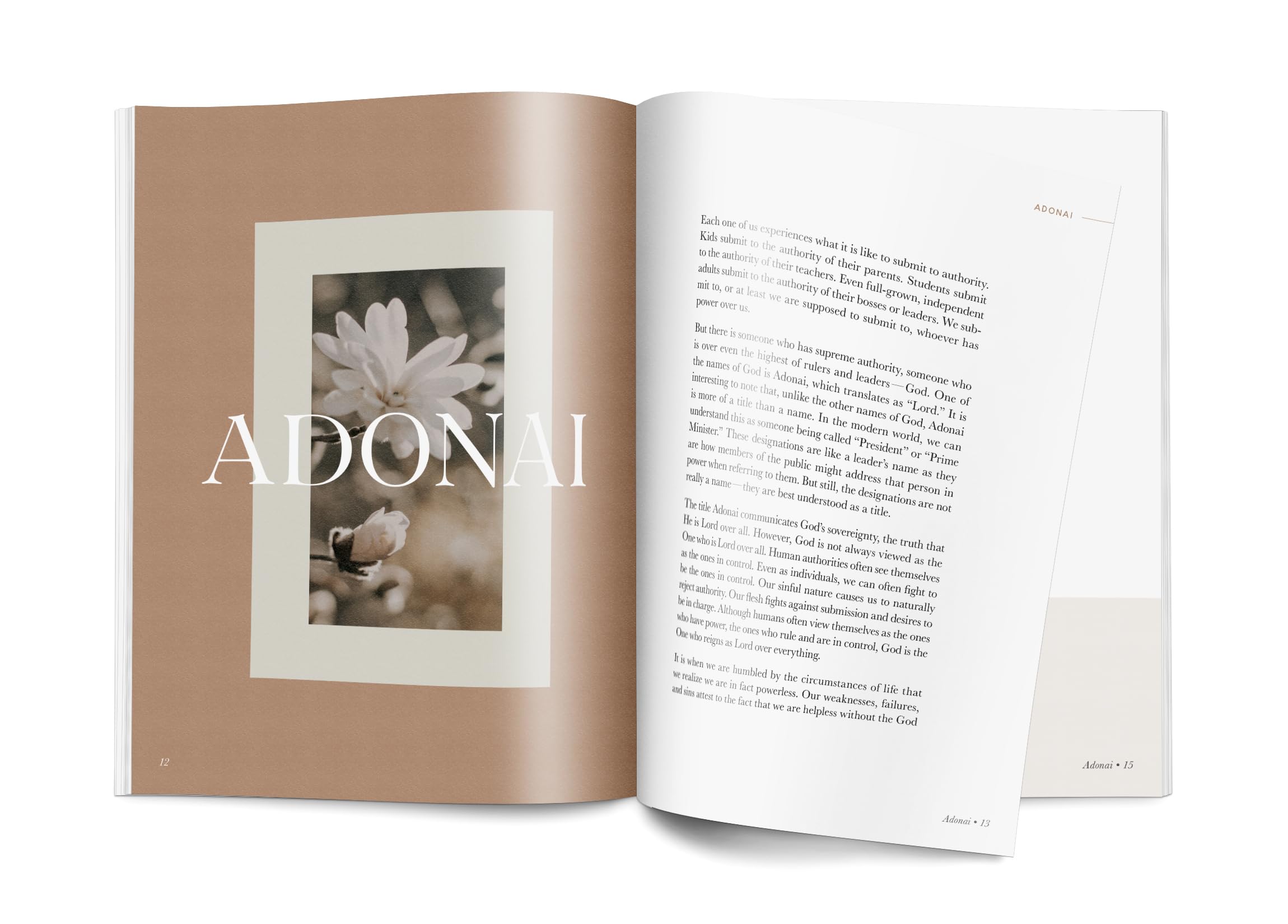 The Names of God (Hardcover)
