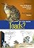 Do You Know Toads by Alain M Bergeron (2013-07-23)