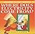 Where Does Electricity Come From? (Usborne Pocket Science) by Susan Mayes (2001-03-30)