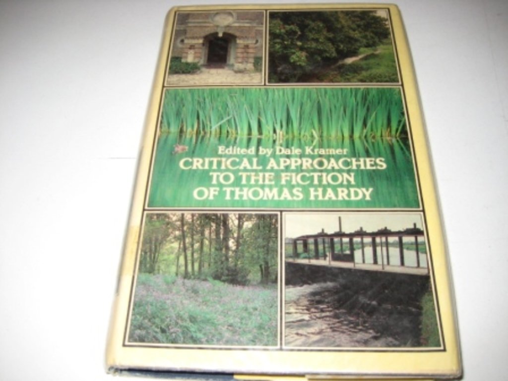 Critical approaches to the fiction of Thomas Hardy (Hardcover)