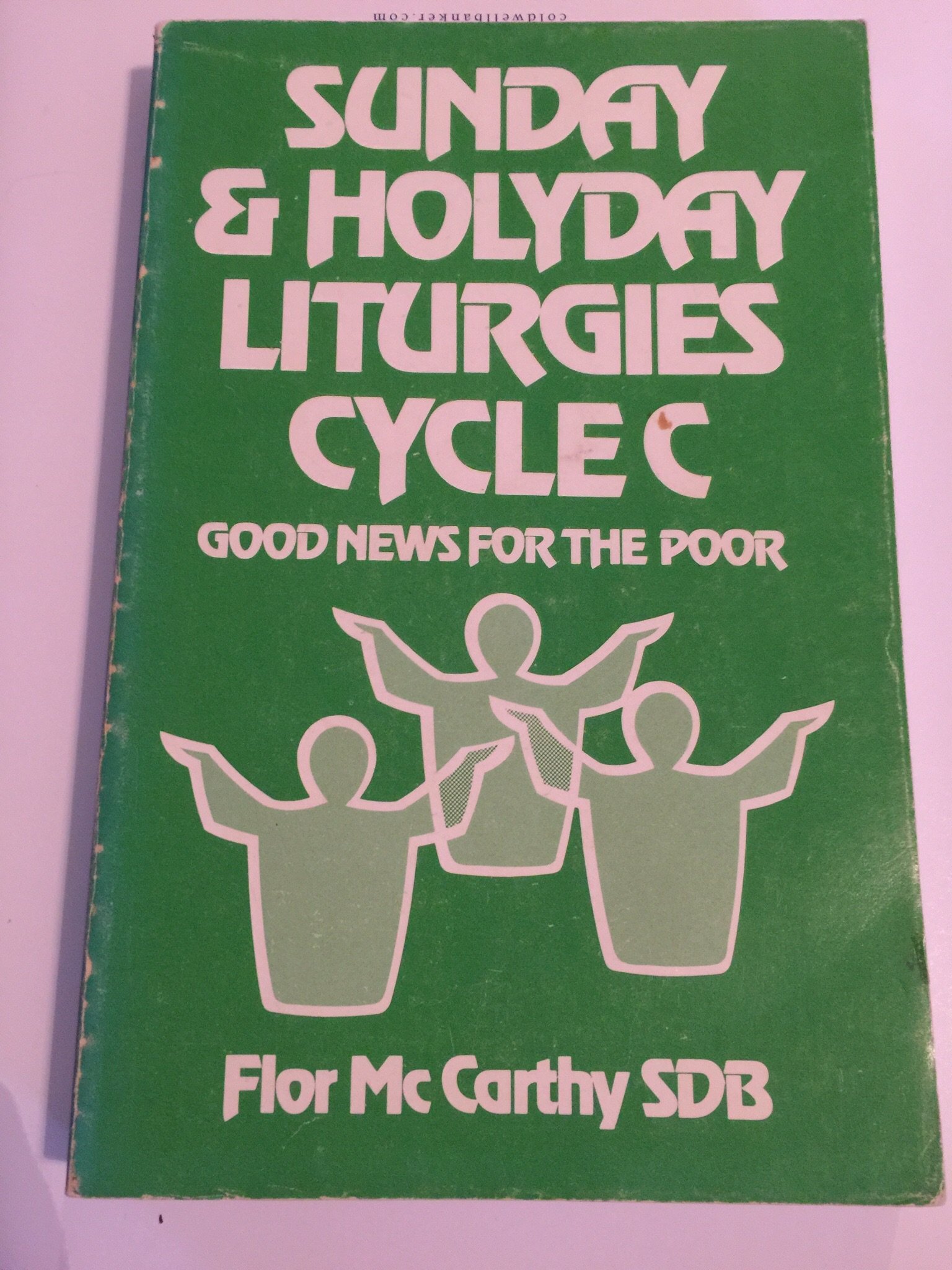 New Sunday and Holy Day Liturgies: Year C (Paperback)