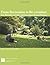 From Recreation to Re-creation: New Directions in Parks and Open Space System Planning by (January 1, 2008) Paperback Pap/Cdr