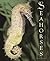 Seahorses by Twig George (2003-10-01)