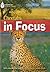 Cheetahs in Focus (Footprint Reading Library, Level 6) 1st edition by Waring, Rob (2008) Paperback