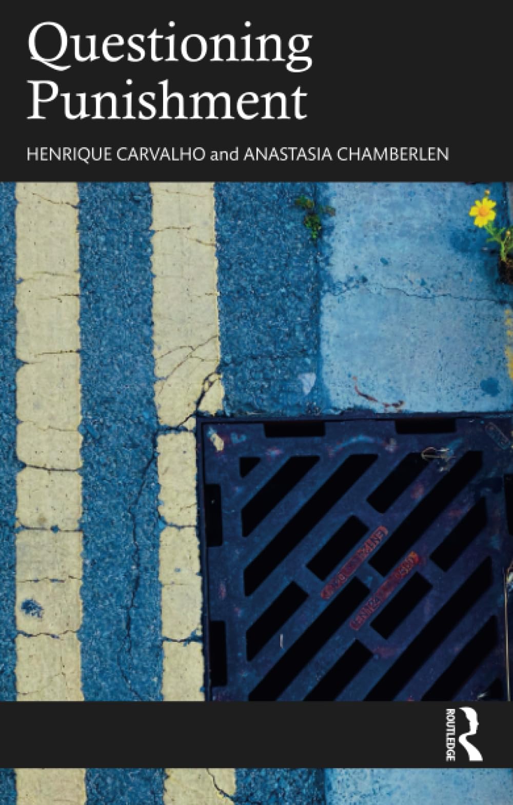 Questioning Punishment (Paperback)