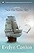 Not the Same Sky by Evelyn Conlon (30-Jul-2013) Paperback
