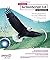 Foundation ActionScript 3.0 for Flash and Flex (Foundations) 2009 edition by Richardson, Darren, Milbourne, Paul (2009) Paperback