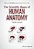 The Scientific Bases of Human Anatomy (Advances in Human Biology) by Charles Oxnard (2015-08-03)
