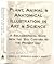 Plant, Animal and Anatomical Illustration in Art and Science: A Bibliographical Guide from the 16th Century to the Present Day