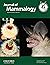 Journal of Mammology Vol 98 Issue 2 April 2017