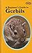 Beginner's Guide to Gerbils