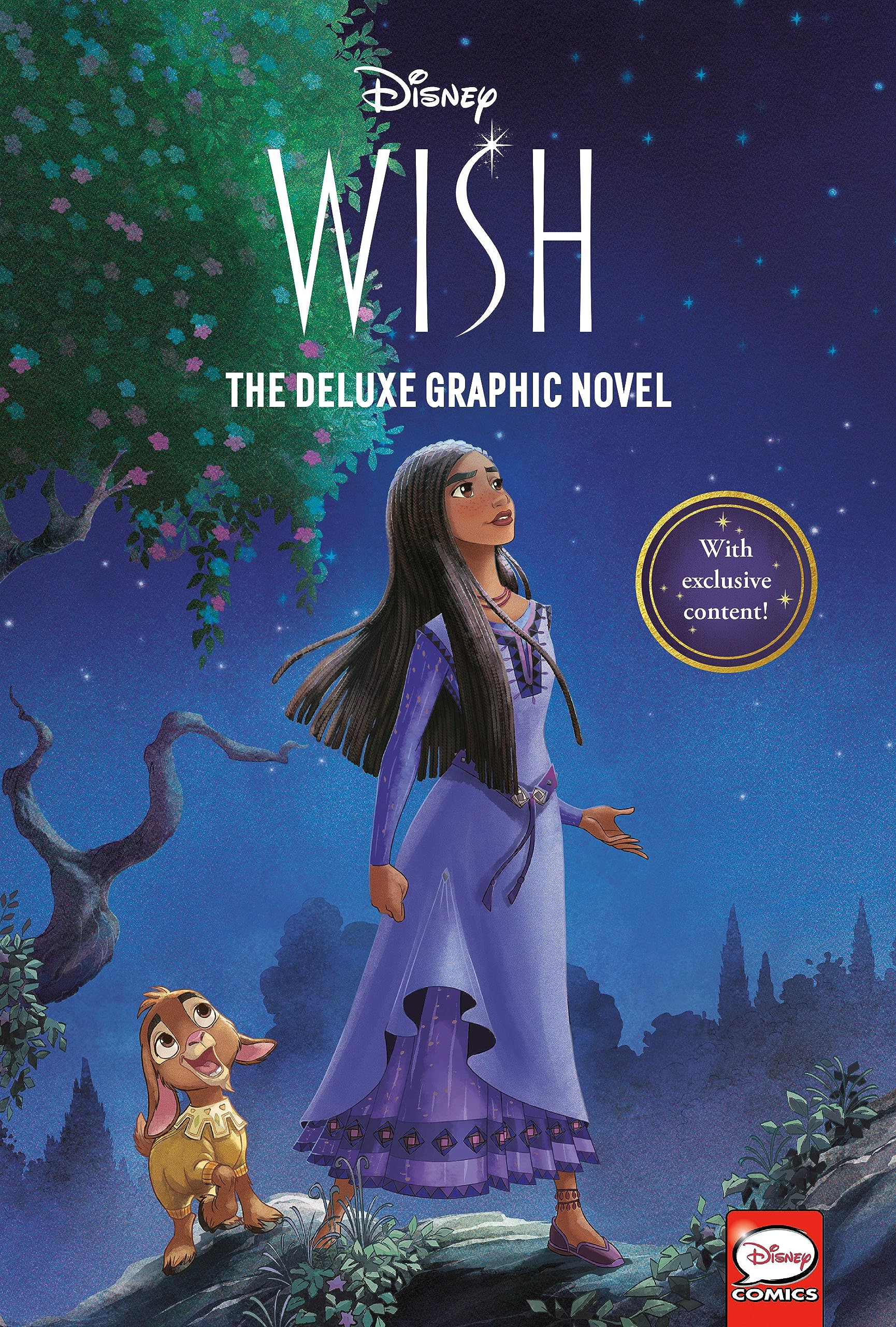 Disney Wish: The Deluxe Graphic Novel (Hardcover)