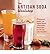 The Artisan Soda Workshop: 70 Homemade Recipes from Fountain Classics to Plum Va