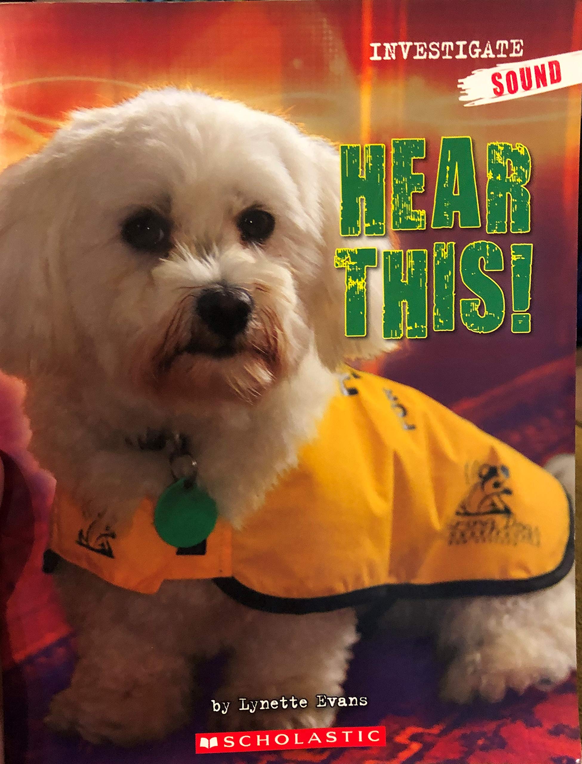 Investigate Sound: Hear This! (Paperback)