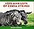 Lots and Lots of Zebra Stripes by Stephen R. Swinburne (1998-09-01)