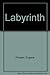 Labyrinth: How a Stubborn Prosecutor Penetrated a Shadowland of Covert Operations on Three Continents to Find the Assassins of Orlando Letelier by Taylor Branch (1982-04-09)
