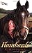 Flambards by K M Peyton (2004-01-01)