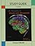 [(Study Guide for Introduction to Brain and Behavior)] [Author: Bryan Kolb] published on (February, 2013)