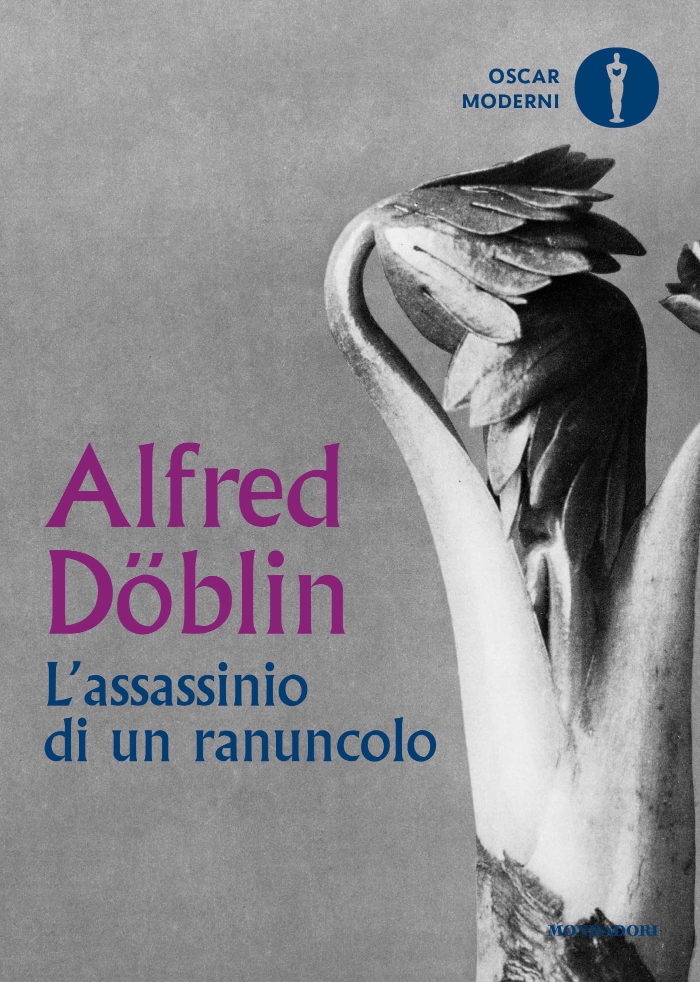 L'assassinio di un ranuncolo: e altri racconti di uno psichiatra a Berlino (Italian Edition)