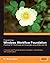 Programming Windows Workflow Foundation: Practical Wf Techniques and Examples Using Xaml and C# by K. Scott Allen (22-Dec-2006) Paperback