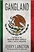 Gangland: The Rise of the Mexican Drug Cartels from El Paso to Vancouver (as is)