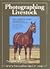 Photographing livestock: The complete guide