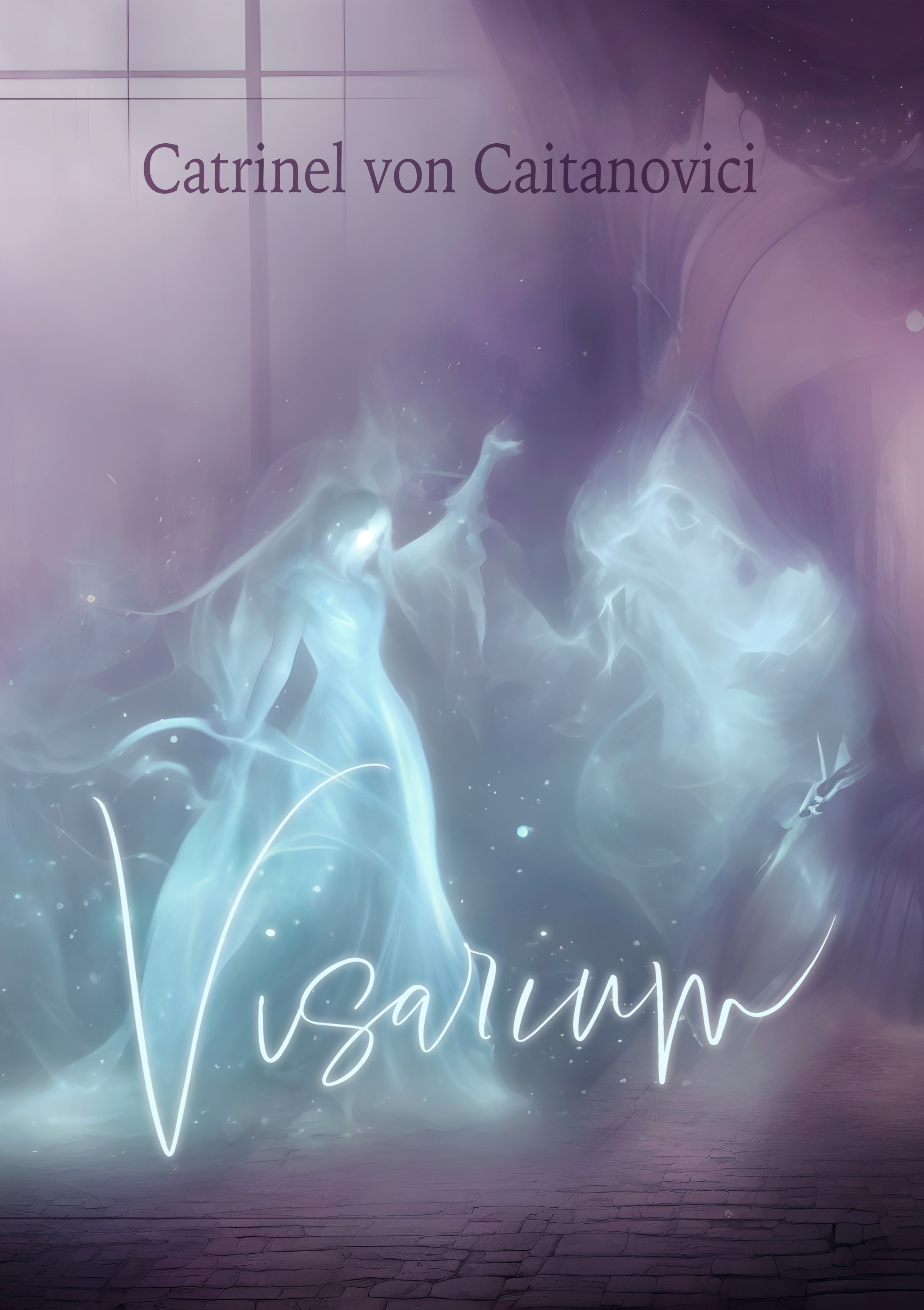 Visarium (Paperback)
