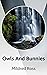 Owls And Bunnies by Mildred Ross