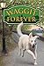 Waggit Forever by Peter Howe (2010-05-04)