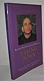 Waking Down: Beyond Hypermasculine Dharmas : A Breakthrough Way of Self-Realization in the Sanctuary of Mutuality