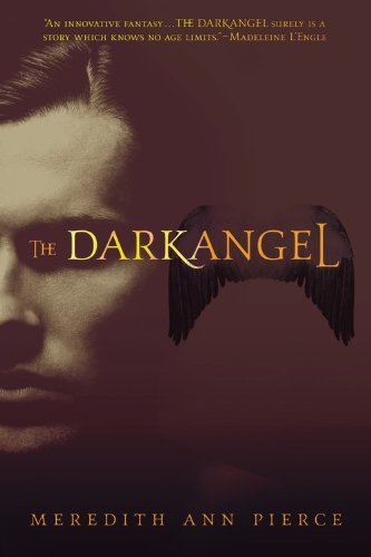 The Darkangel (Darkangel Trilogy) by Meredith Ann Pierce (4-Oct-2007) Paperback