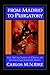 From Madrid to Purgatory: The Art and Craft of Dying in Sixteenth-Century Spain (Cambridge Studies in Early Modern History) by Carlos M. N. Eire (2002-07-25)
