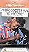 Microscopes and Telescopes (A New True Book)