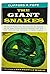 Giant Snakes