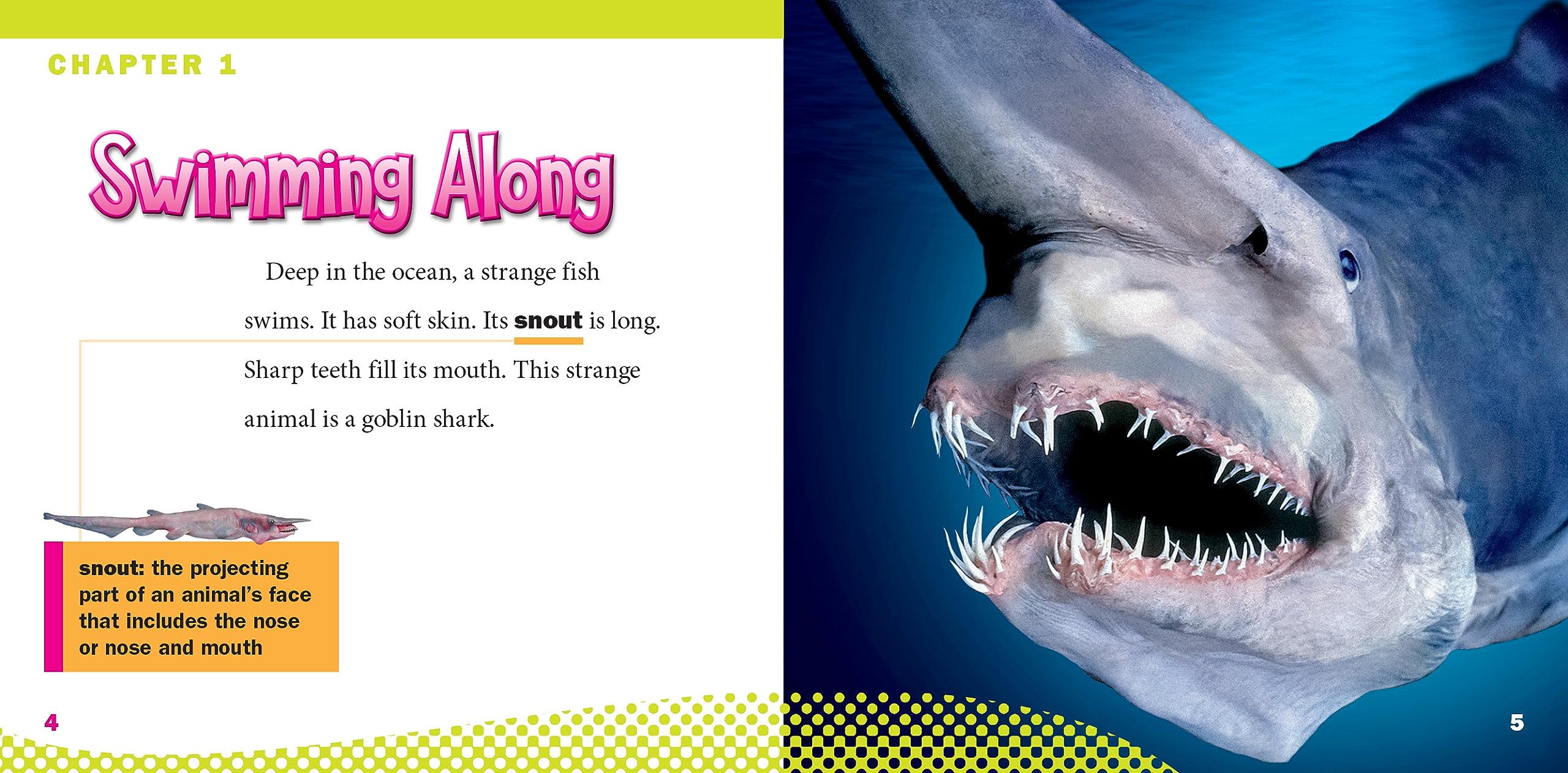 Goblin Sharks (World of Sharks)