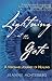 Lightning at the Gate: A Visionary Journey of Healing by Jeanne Achterberg (2002-01-06)