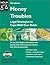 Money Troubles: Legal Strategies to Cope With Your Debts by Robin Leonard (2001-07-03)