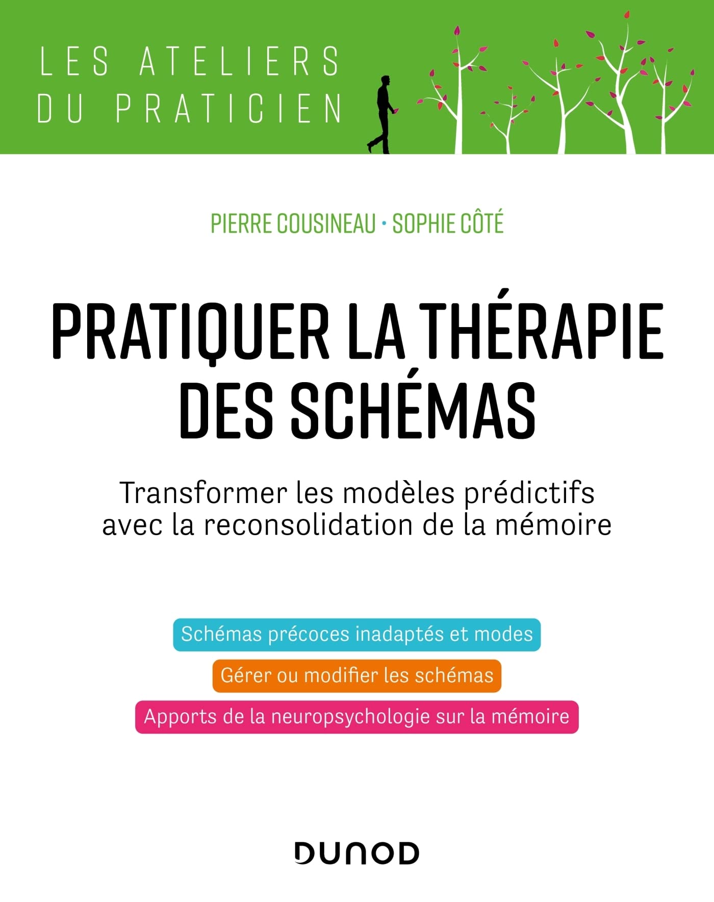 Pratiquer la thérapie des schémas: Transformer les modèles prédictifs avec la reconsolidation de la mémoire (Paperback)