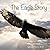 The Eagle Story by Francois Du Toit (2013-04-03)