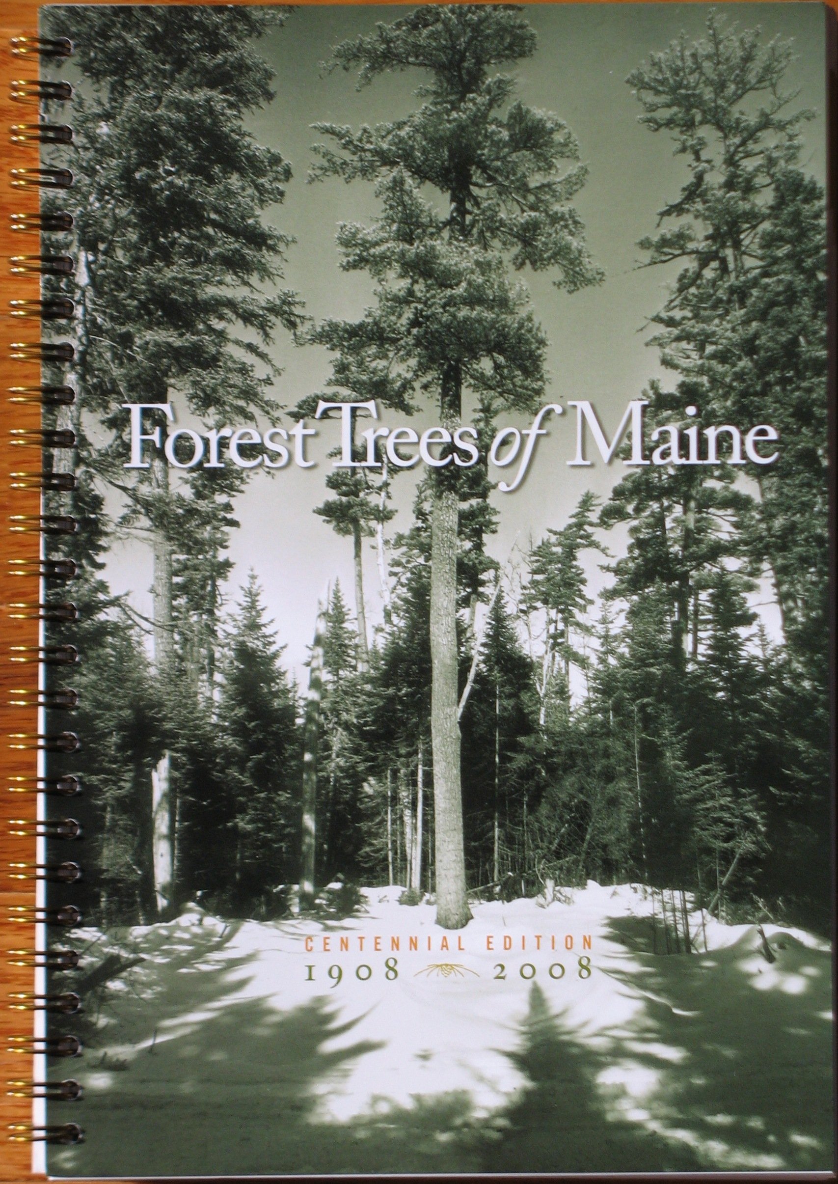 Forest Trees of Maine: 1908-2008 (Spiral-bound)